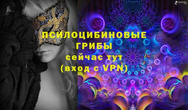 молекула духа Магас