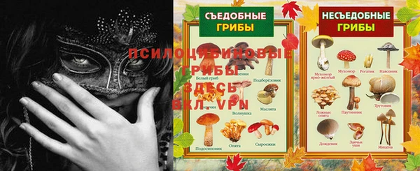 молекула духа Магас