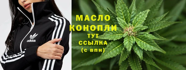 молекула духа Магас
