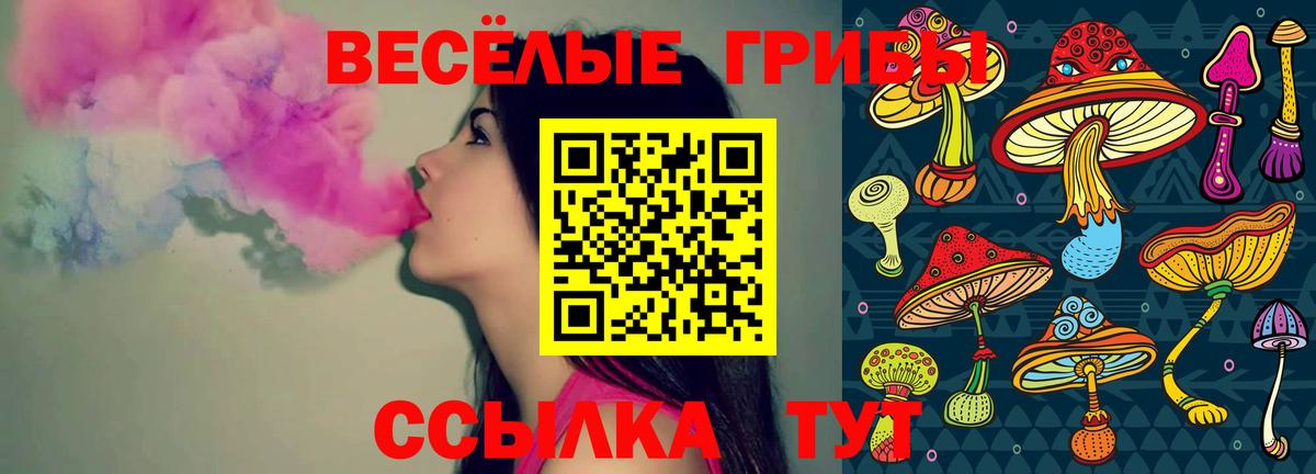Волжский  что такое наркотик  Вход с VPN  Галлюциногенные грибы прущие грибы 