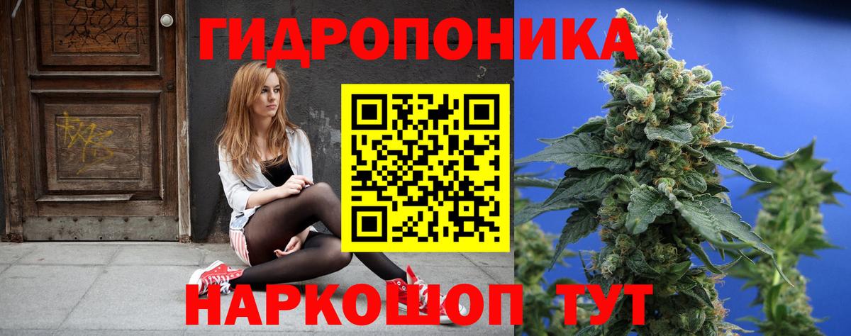 Бошки марихуана AK-47  Бошки Шишки Amnesia  Волжский  Каннабис марихуана  Канабис планчик 