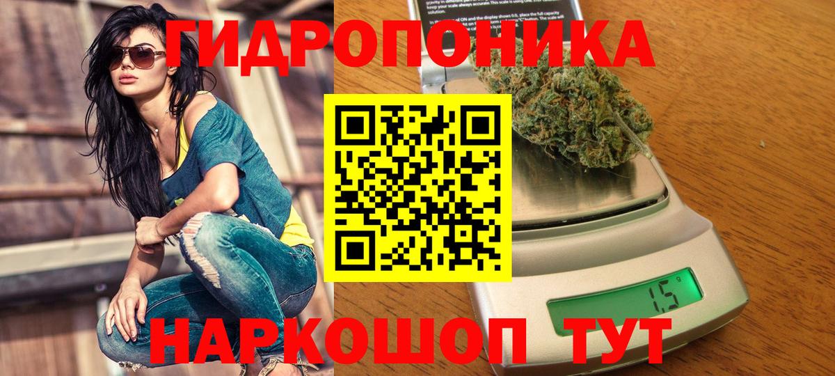Конопля конопля Волжский